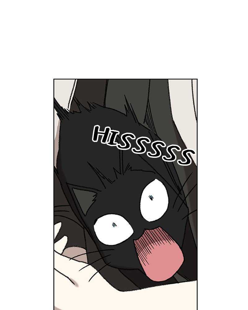 Read The Boxer ENGLISH Manga Online