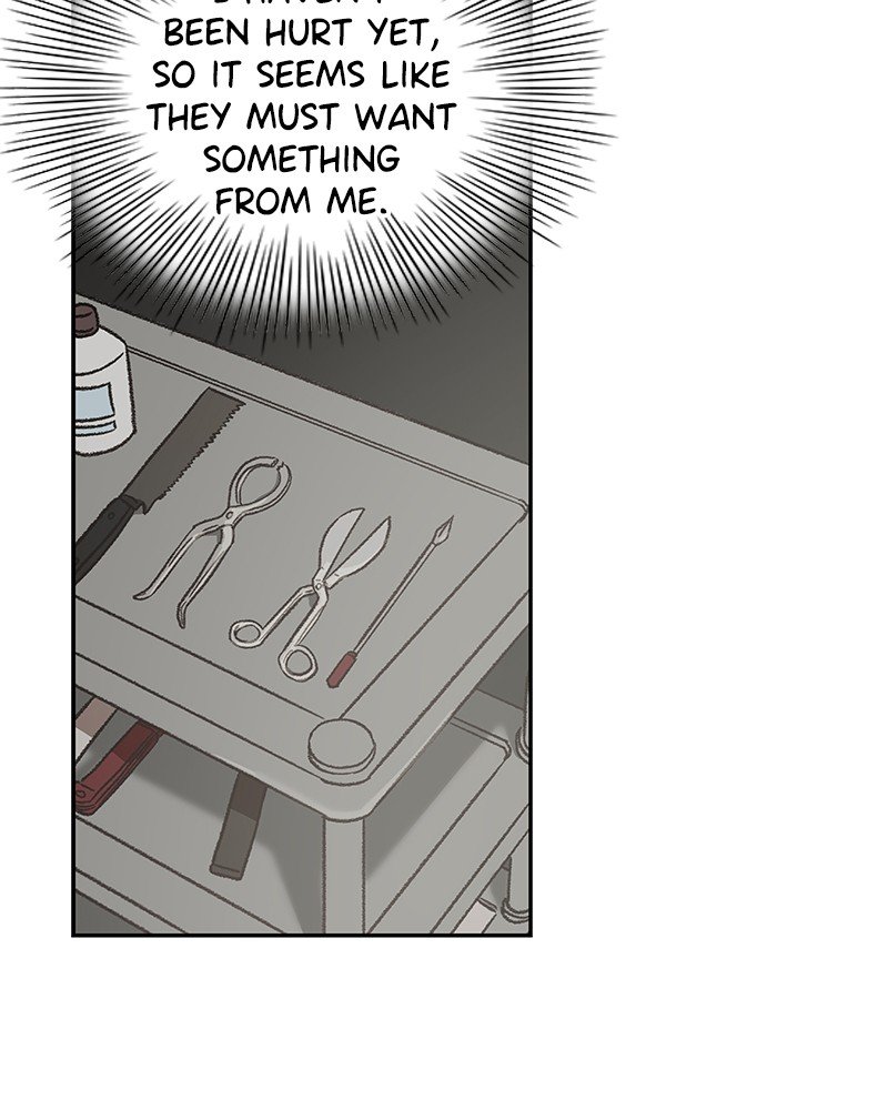 Read The Boxer ENGLISH Manga Online