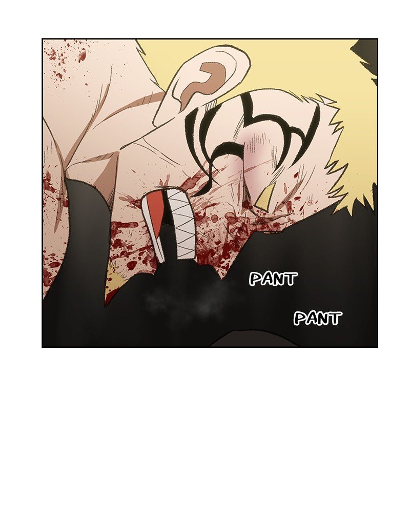 Read The Boxer ENGLISH Manga Online