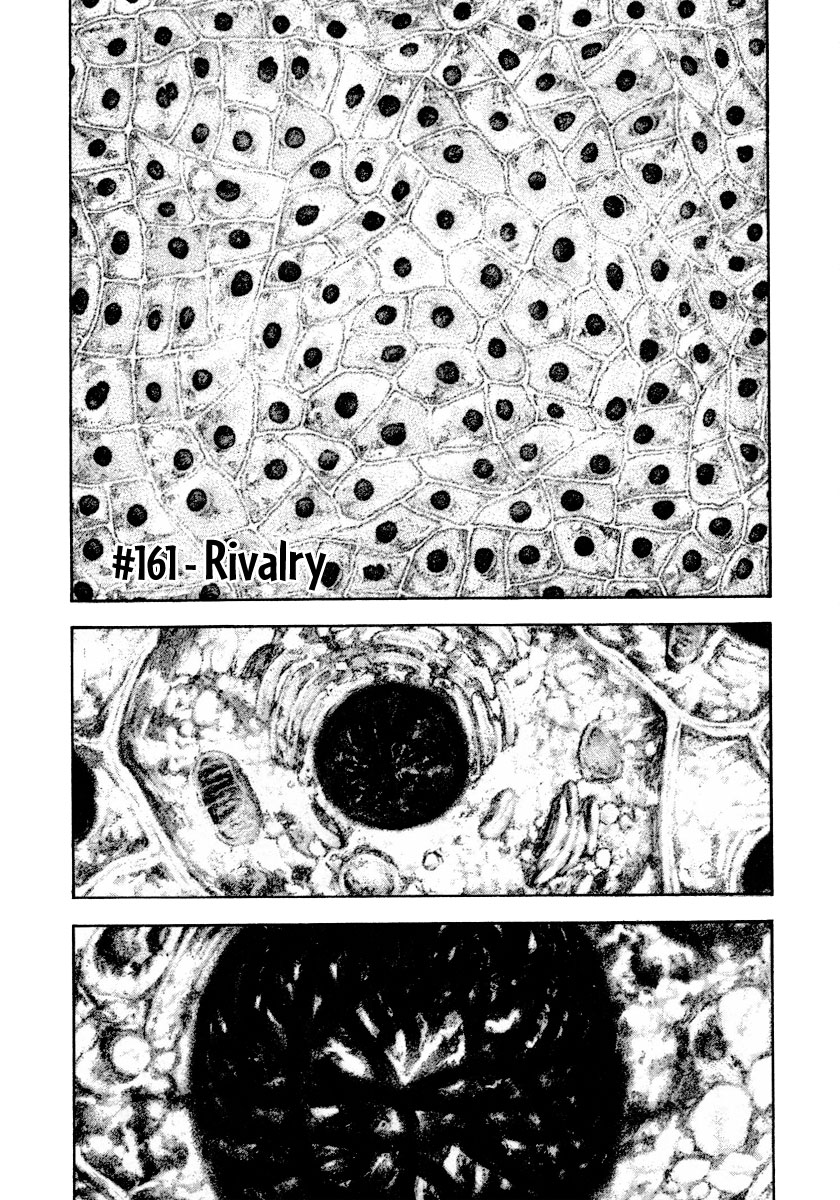 Read The Climber ENGLISH Manga Online