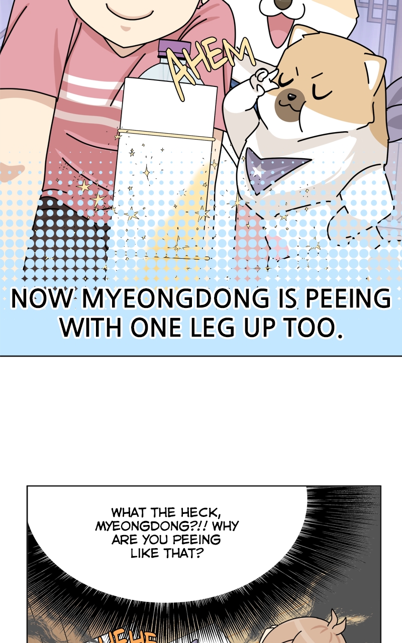 Read The Dog Diaries ENGLISH Manga Online