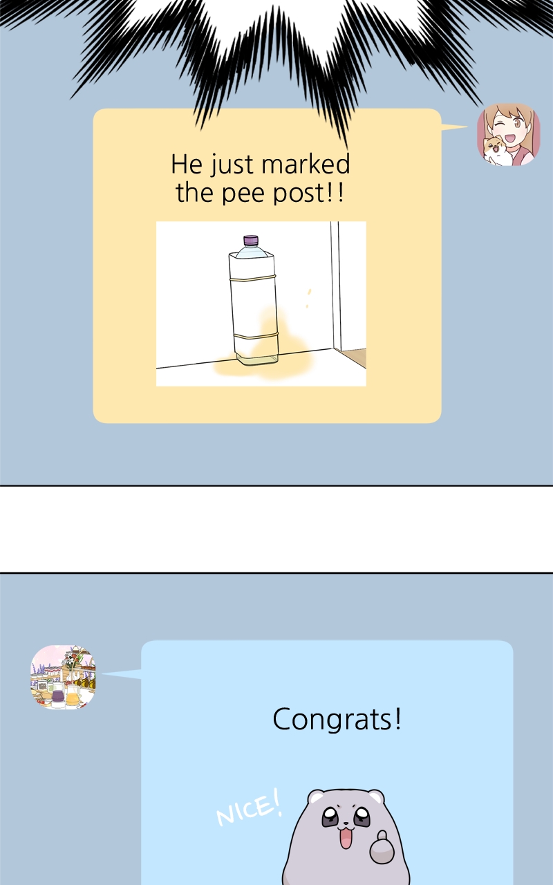 Read The Dog Diaries ENGLISH Manga Online