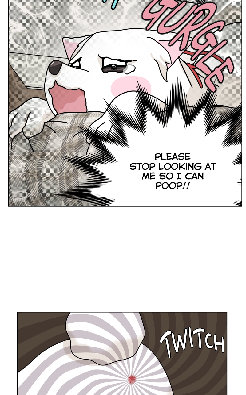 Read The Dog Diaries ENGLISH Manga Online