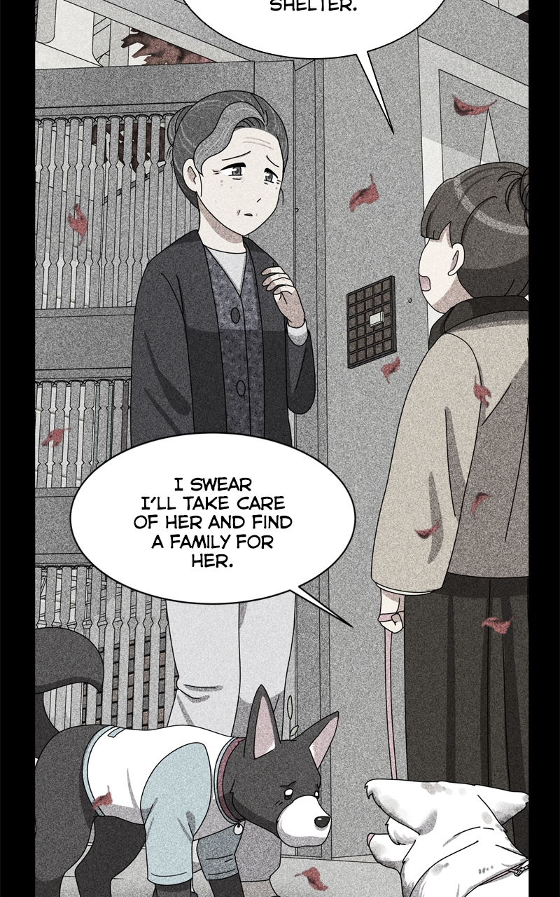 Read The Dog Diaries ENGLISH Manga Online