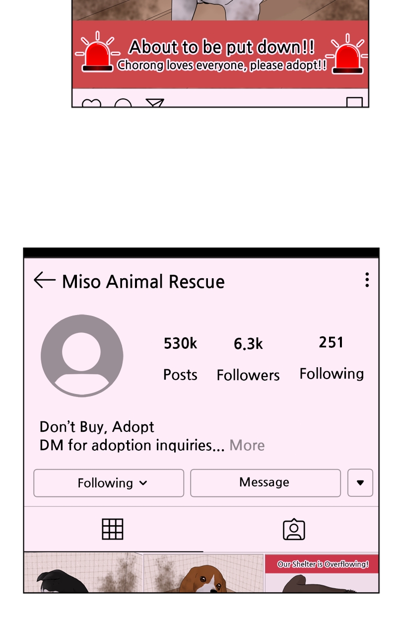 Read The Dog Diaries ENGLISH Manga Online