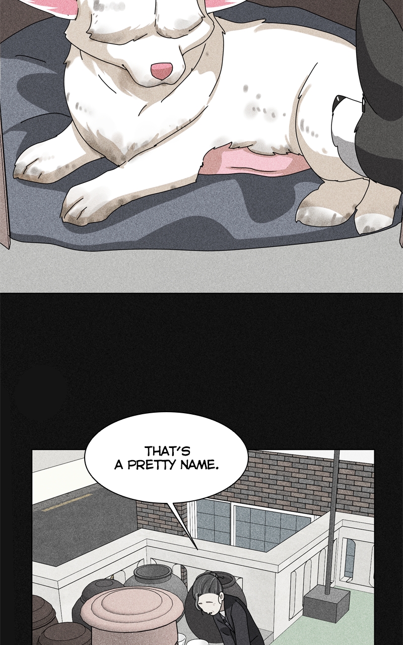 Read The Dog Diaries ENGLISH Manga Online