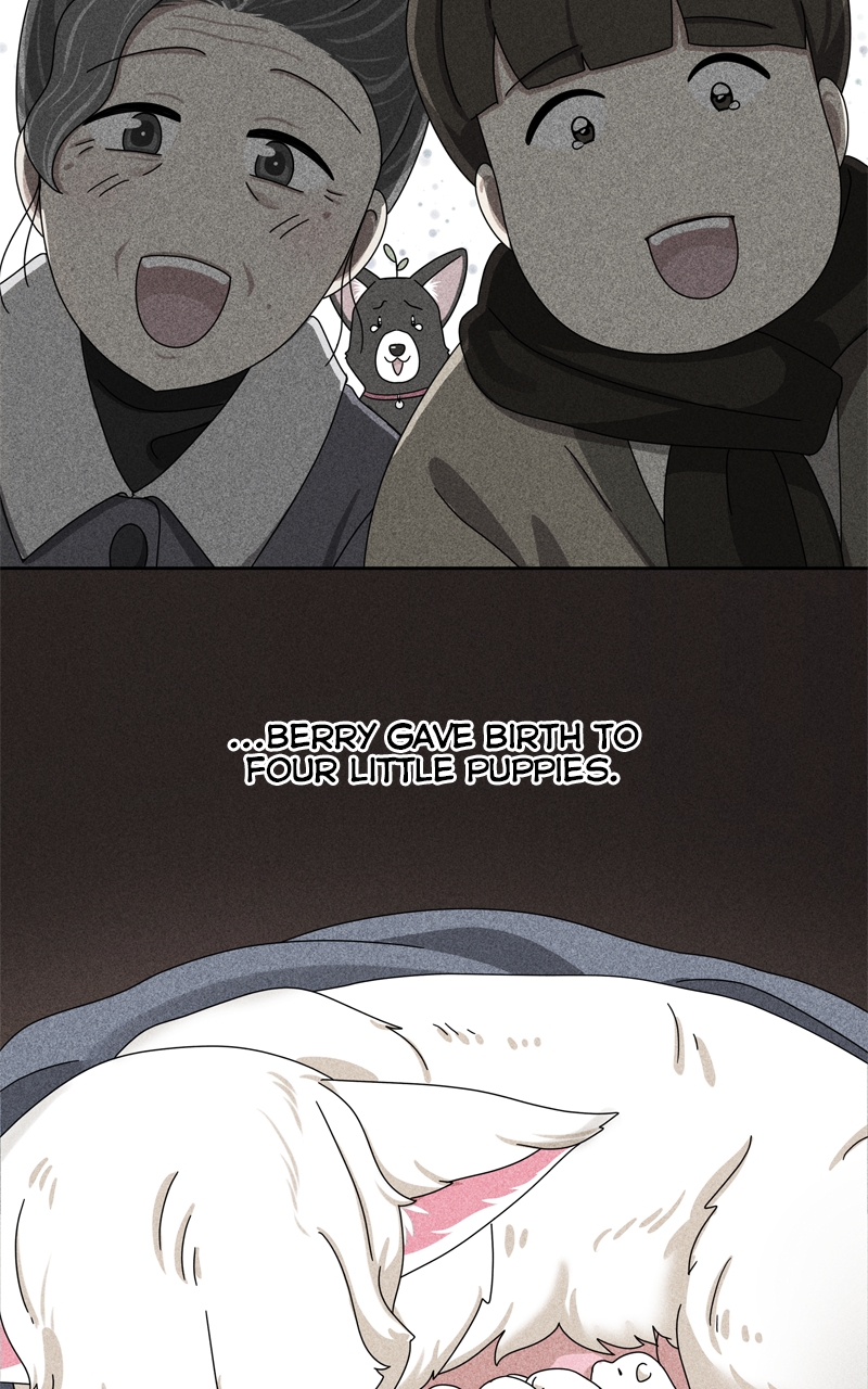 Read The Dog Diaries ENGLISH Manga Online