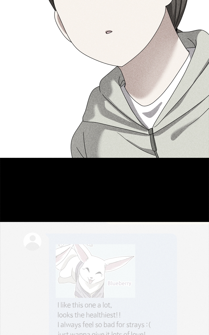 Read The Dog Diaries ENGLISH Manga Online