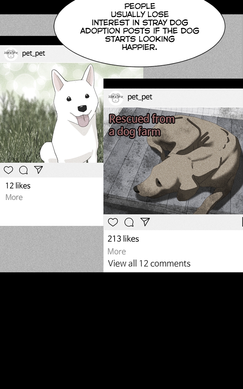 Read The Dog Diaries ENGLISH Manga Online