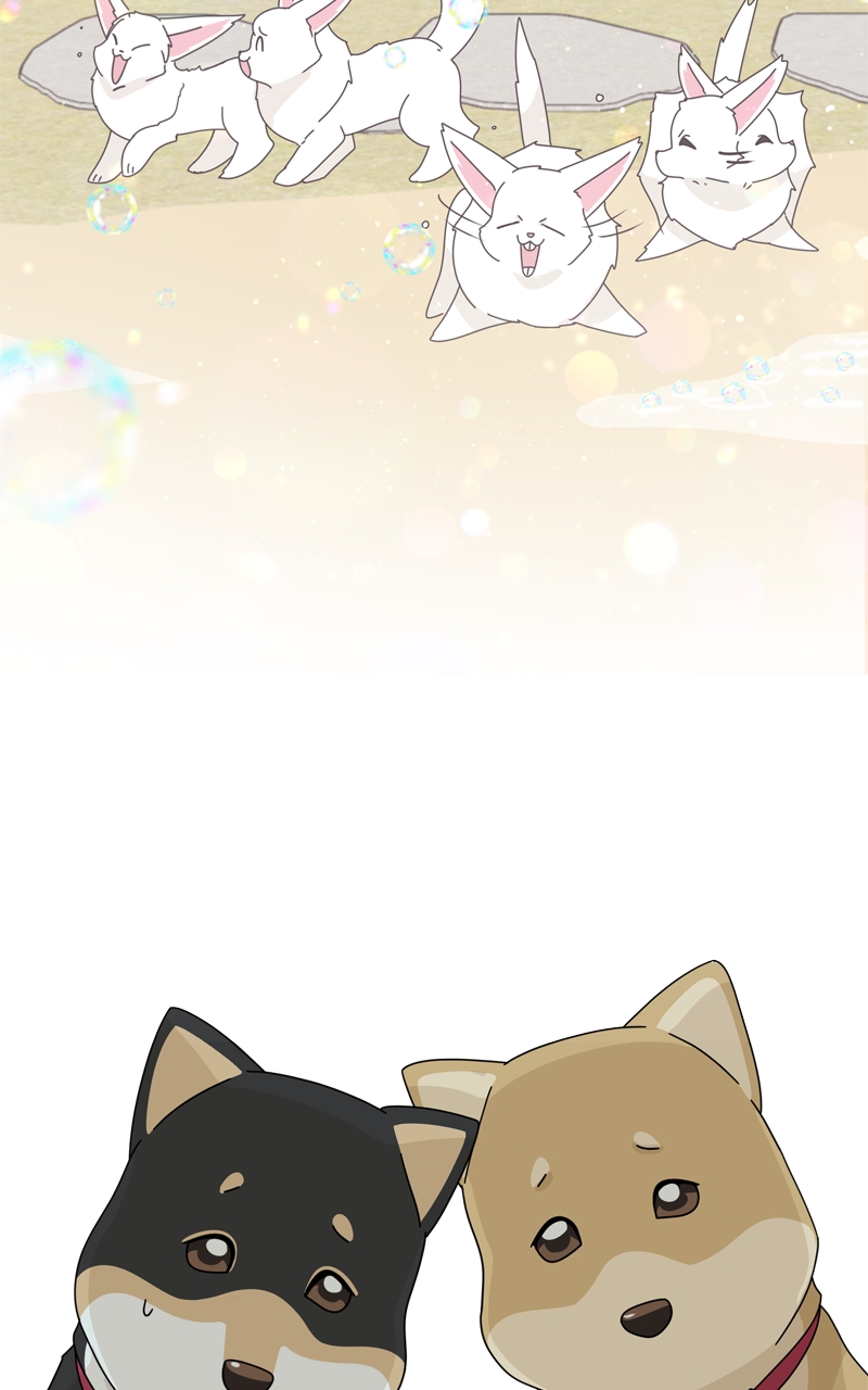 Read The Dog Diaries ENGLISH Manga Online