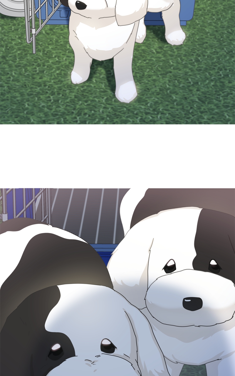 Read The Dog Diaries ENGLISH Manga Online