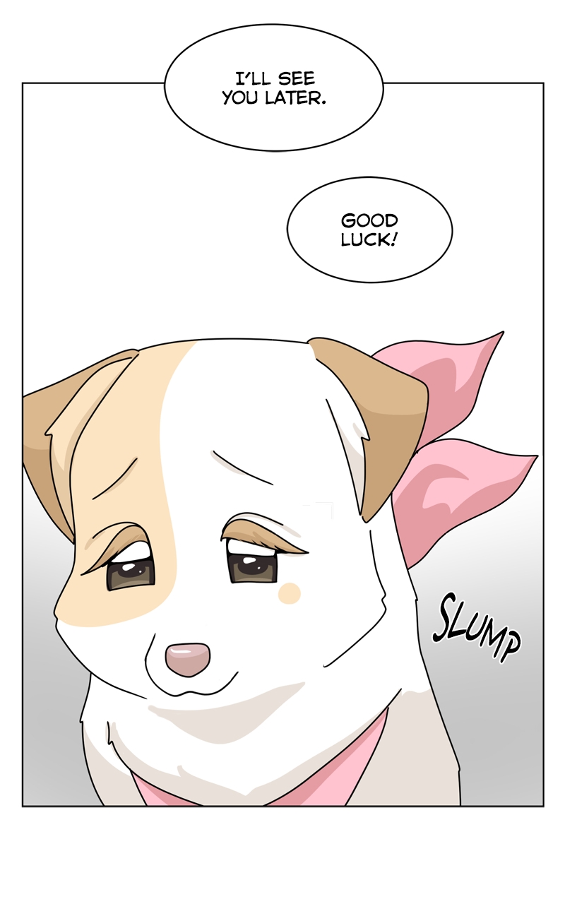 Read The Dog Diaries ENGLISH Manga Online