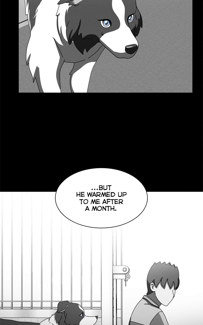 Read The Dog Diaries ENGLISH Manga Online