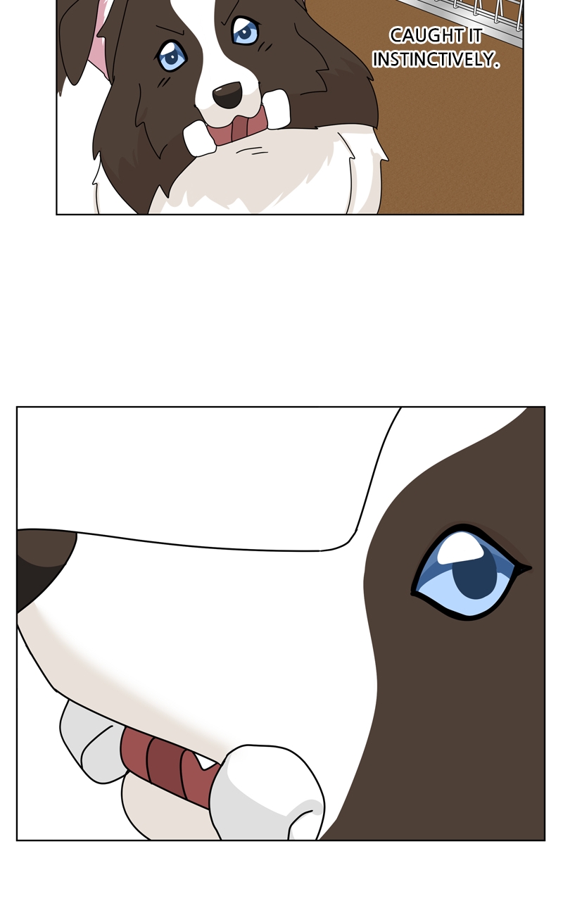 Read The Dog Diaries ENGLISH Manga Online