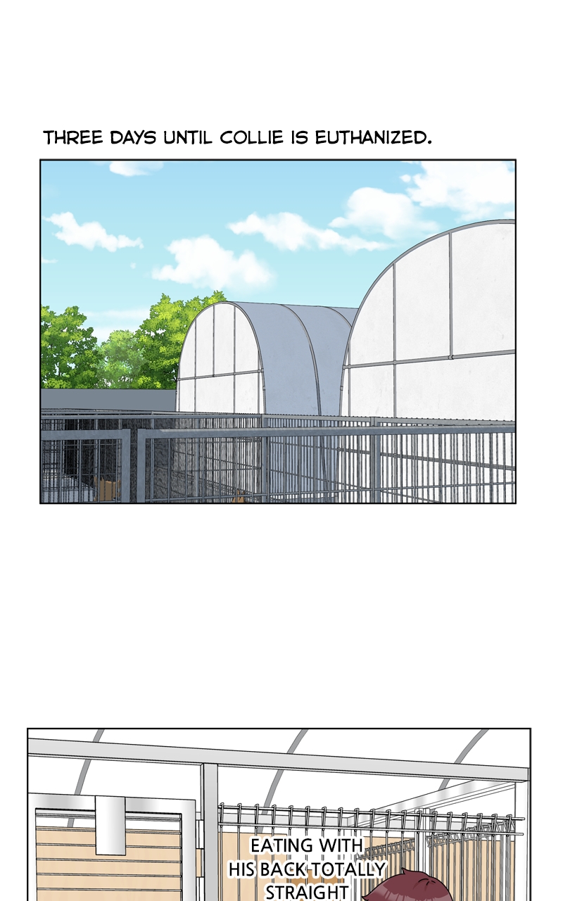 Read The Dog Diaries ENGLISH Manga Online