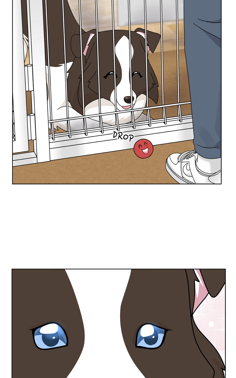 Read The Dog Diaries ENGLISH Manga Online