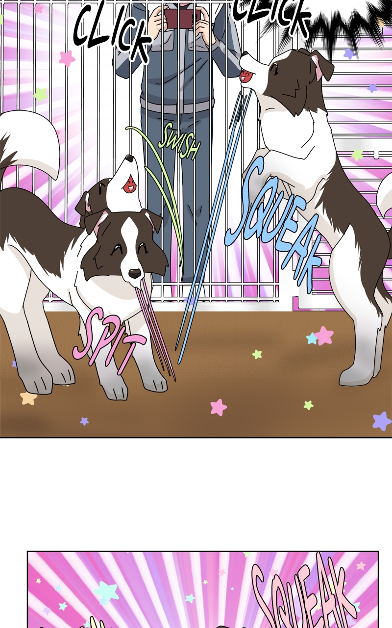 Read The Dog Diaries ENGLISH Manga Online