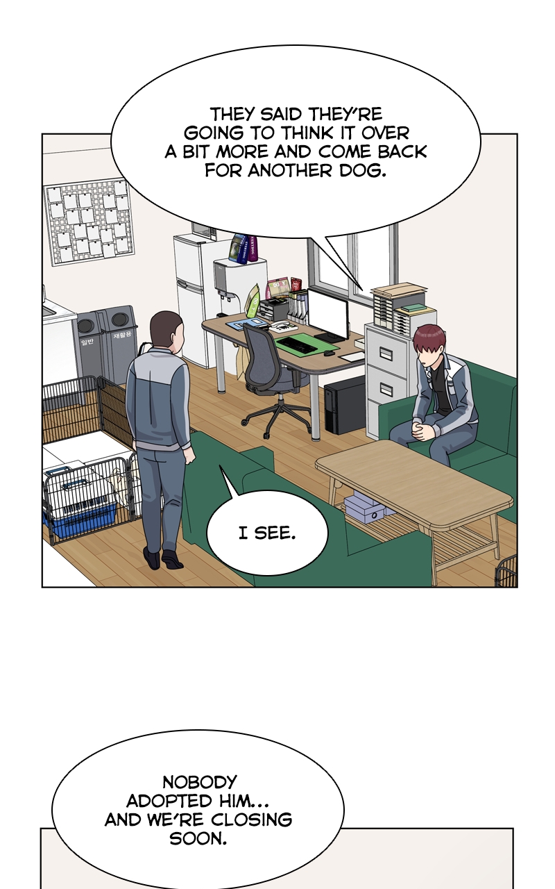 Read The Dog Diaries ENGLISH Manga Online