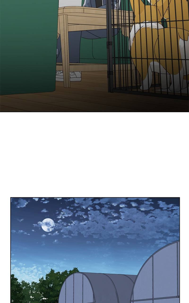 Read The Dog Diaries ENGLISH Manga Online