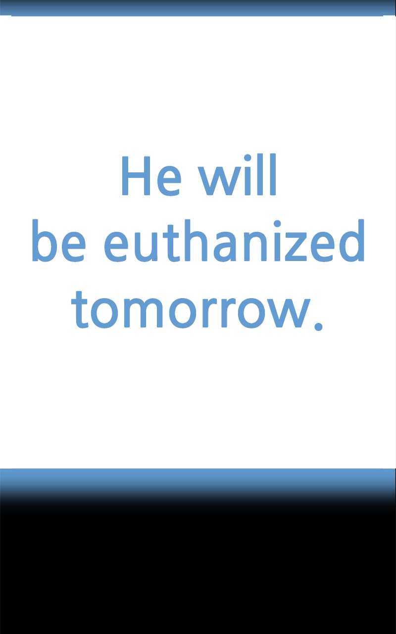 Read The Dog Diaries ENGLISH Manga Online