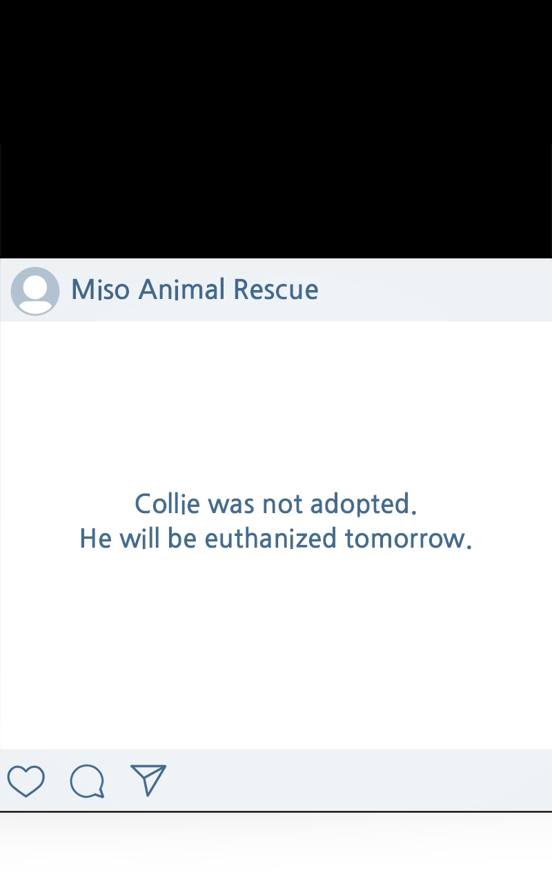 Read The Dog Diaries ENGLISH Manga Online