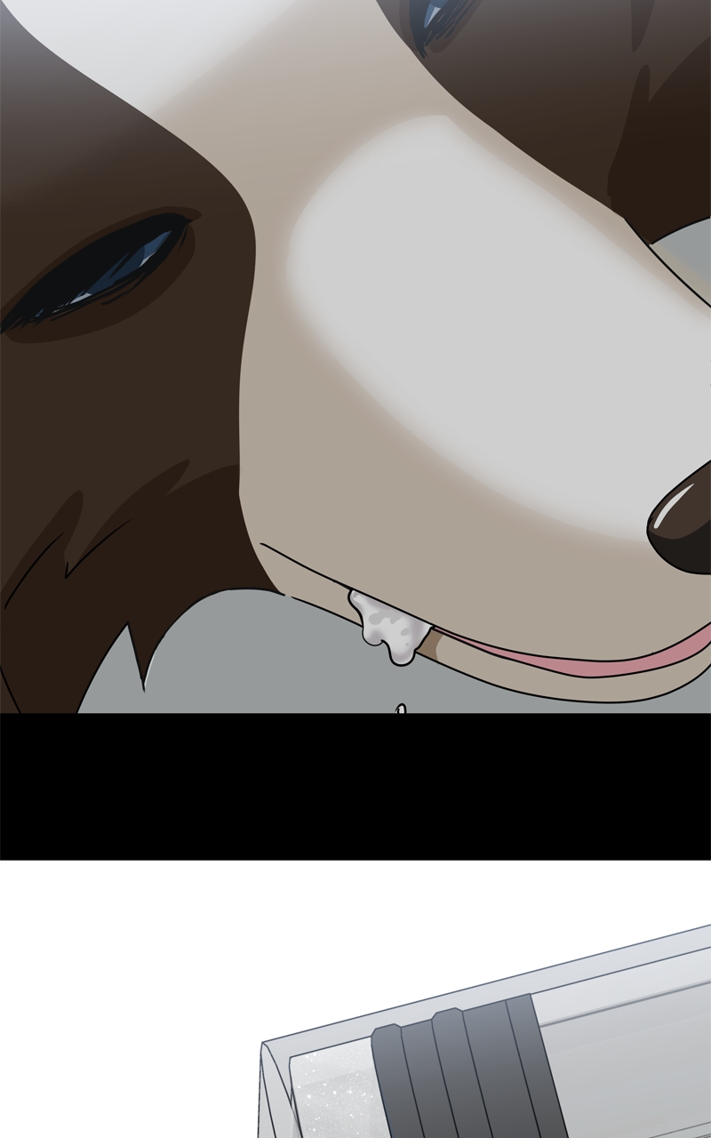 Read The Dog Diaries ENGLISH Manga Online