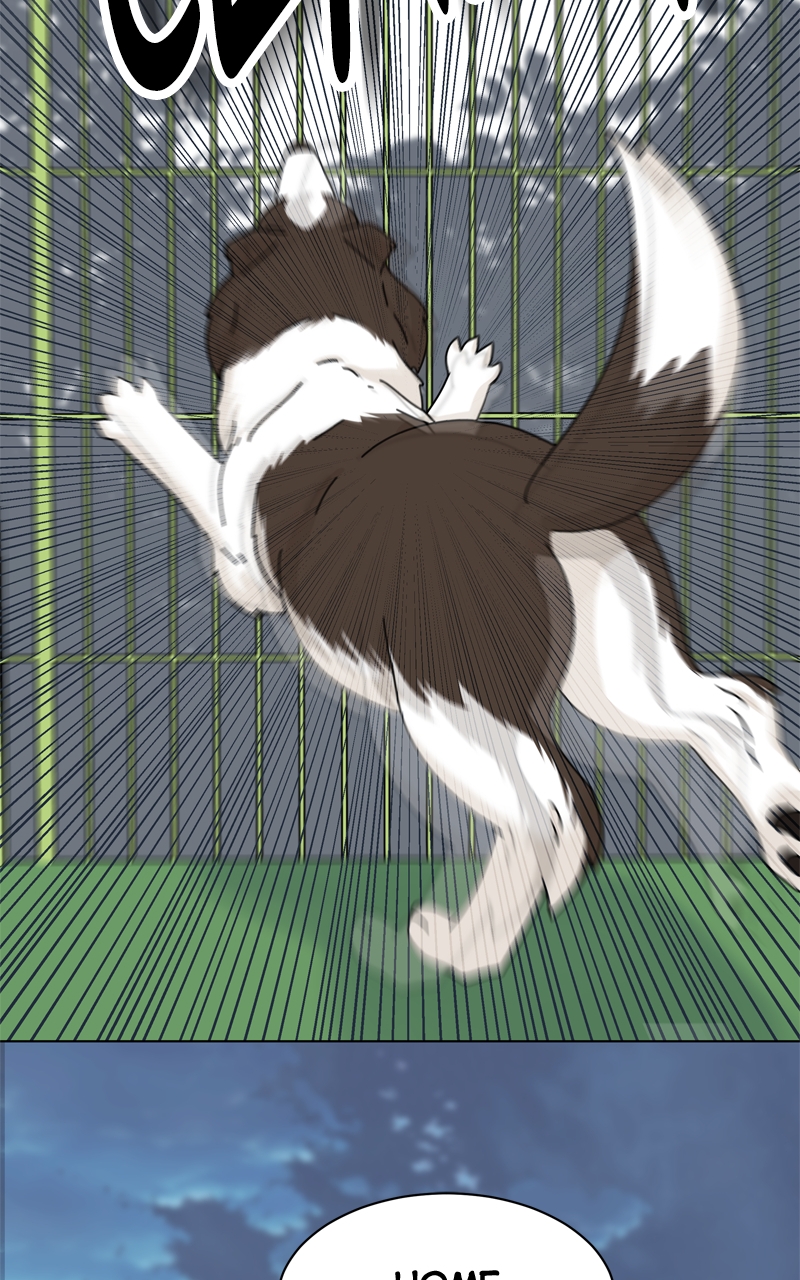 Read The Dog Diaries ENGLISH Manga Online