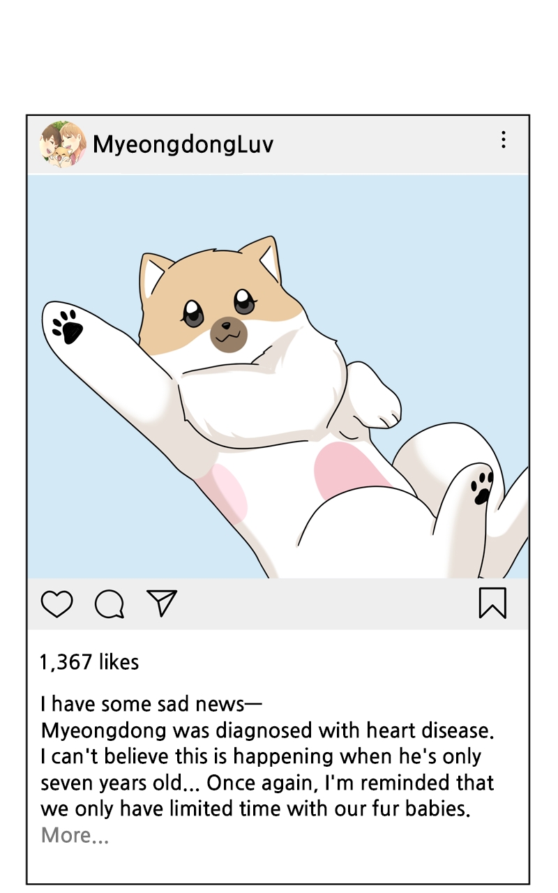 Read The Dog Diaries ENGLISH Manga Online