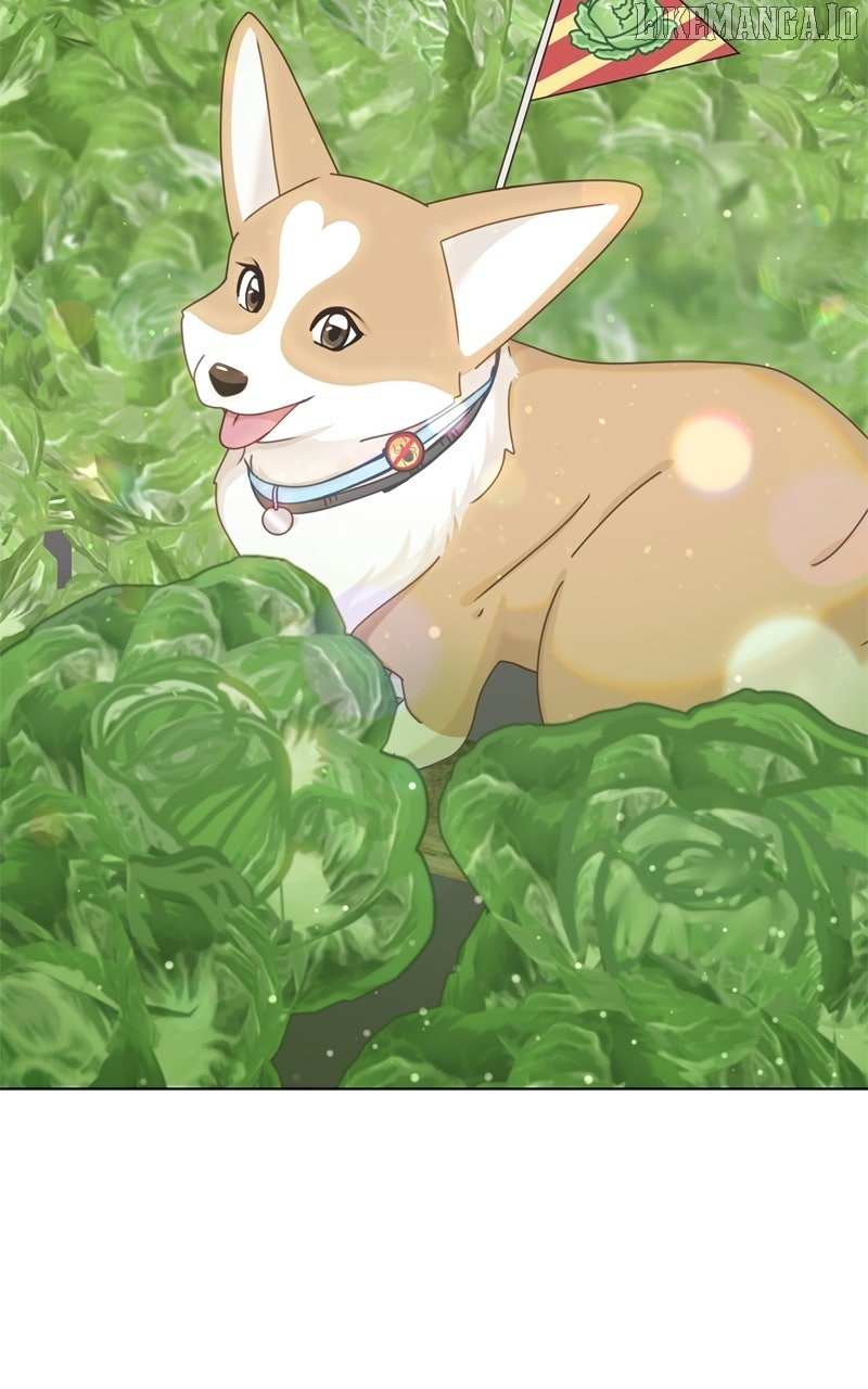 Read The Dog Diaries ENGLISH Manga Online