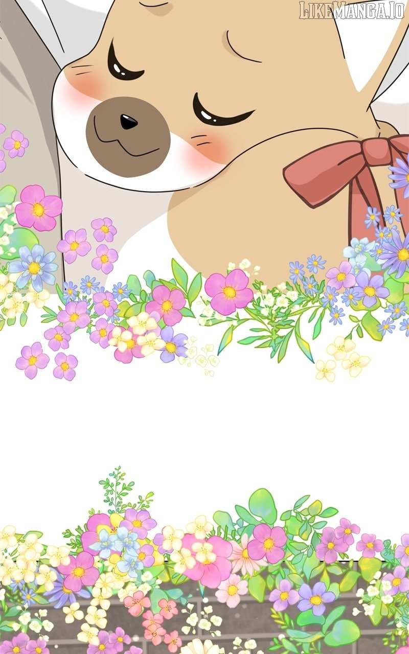 Read The Dog Diaries ENGLISH Manga Online