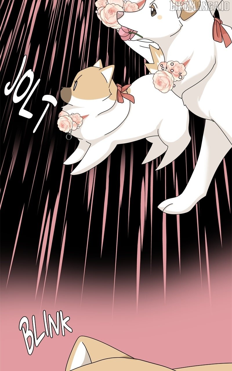 Read The Dog Diaries ENGLISH Manga Online