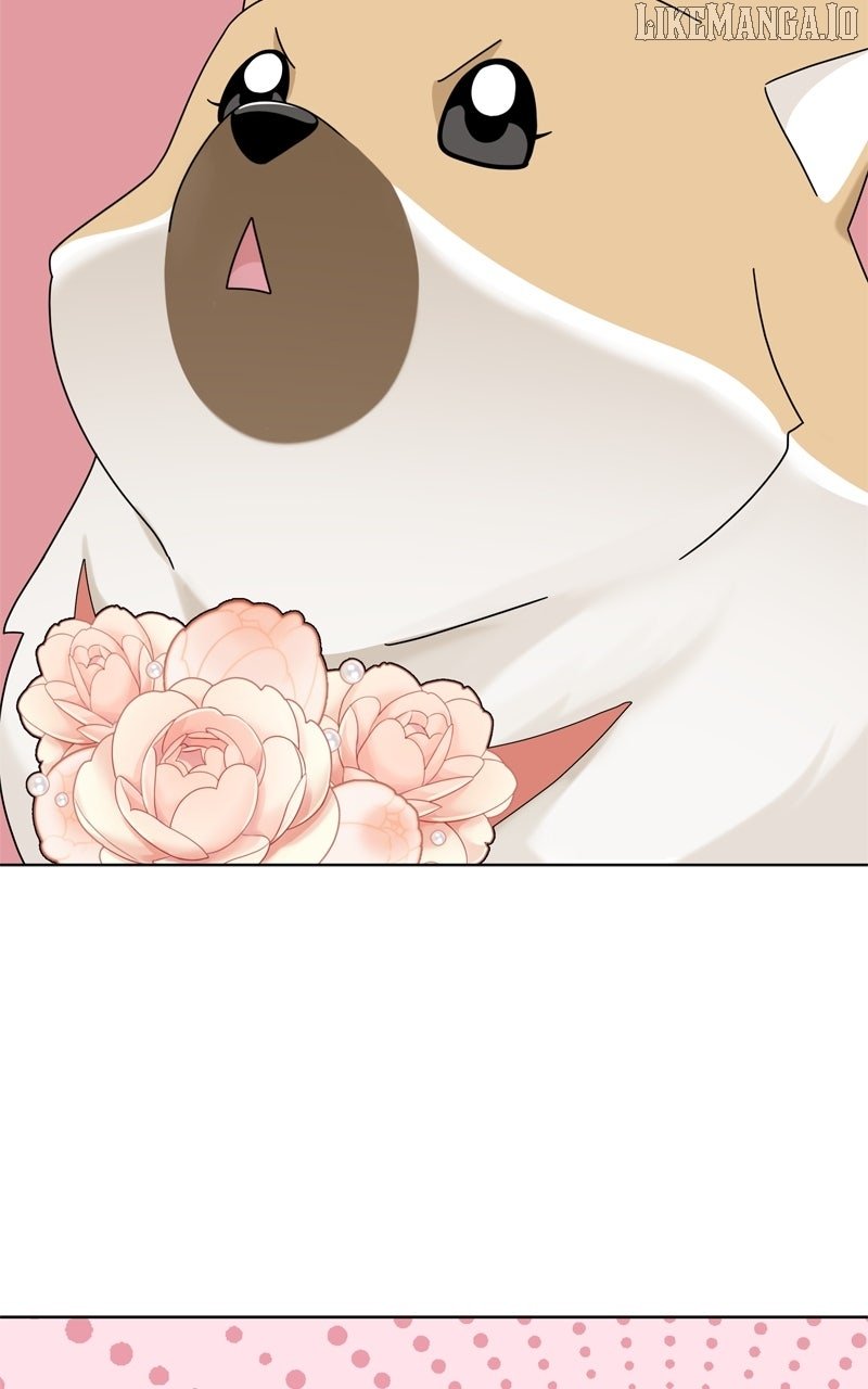 Read The Dog Diaries ENGLISH Manga Online