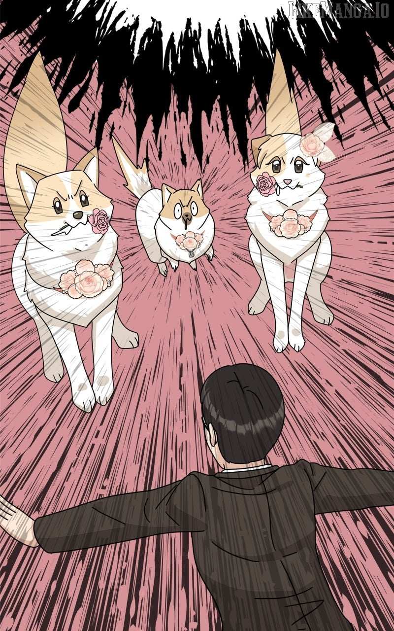 Read The Dog Diaries ENGLISH Manga Online