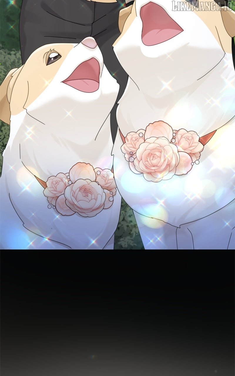 Read The Dog Diaries ENGLISH Manga Online