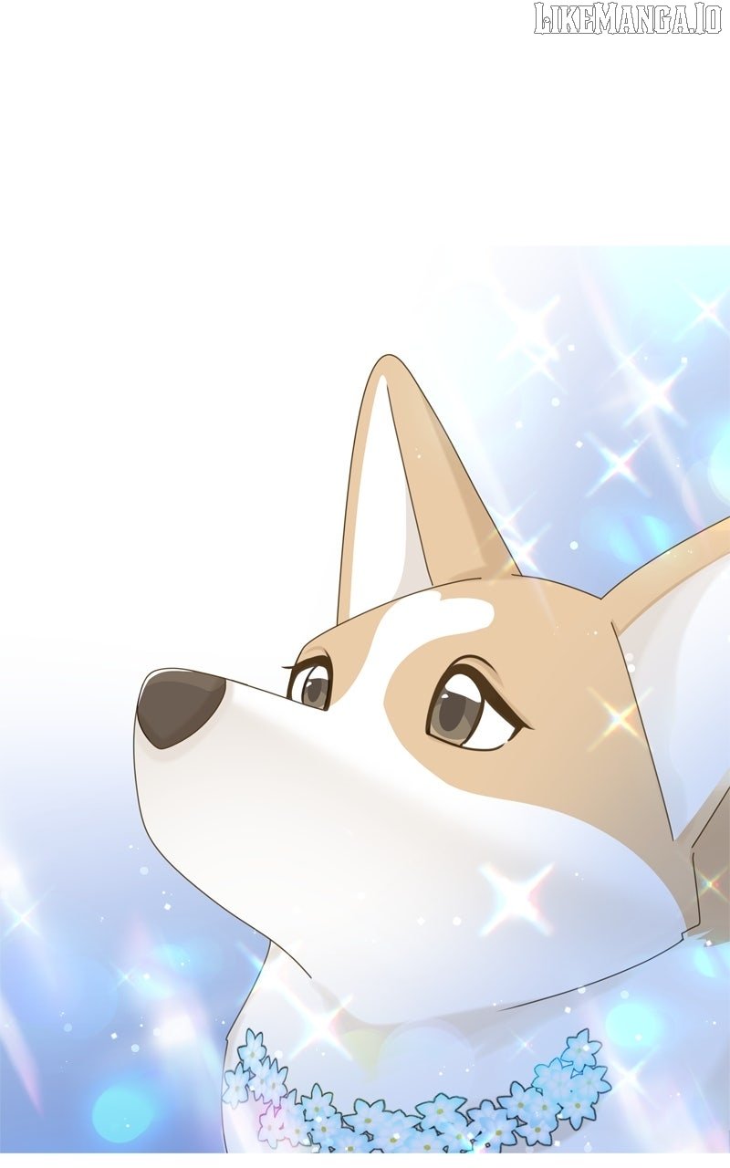 Read The Dog Diaries ENGLISH Manga Online