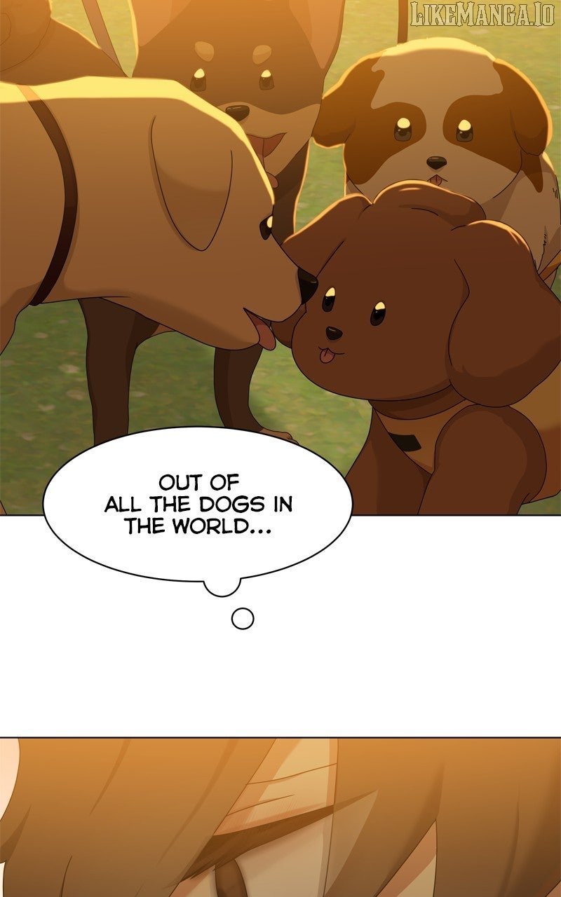 Read The Dog Diaries ENGLISH Manga Online