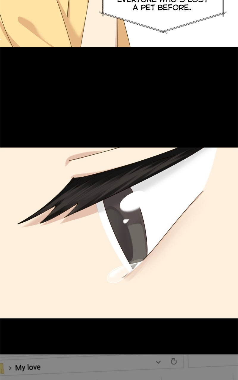 Read The Dog Diaries ENGLISH Manga Online