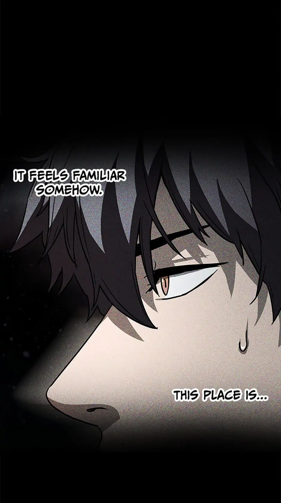 Read The Player Who Can't Level Up ENGLISH Manga Online