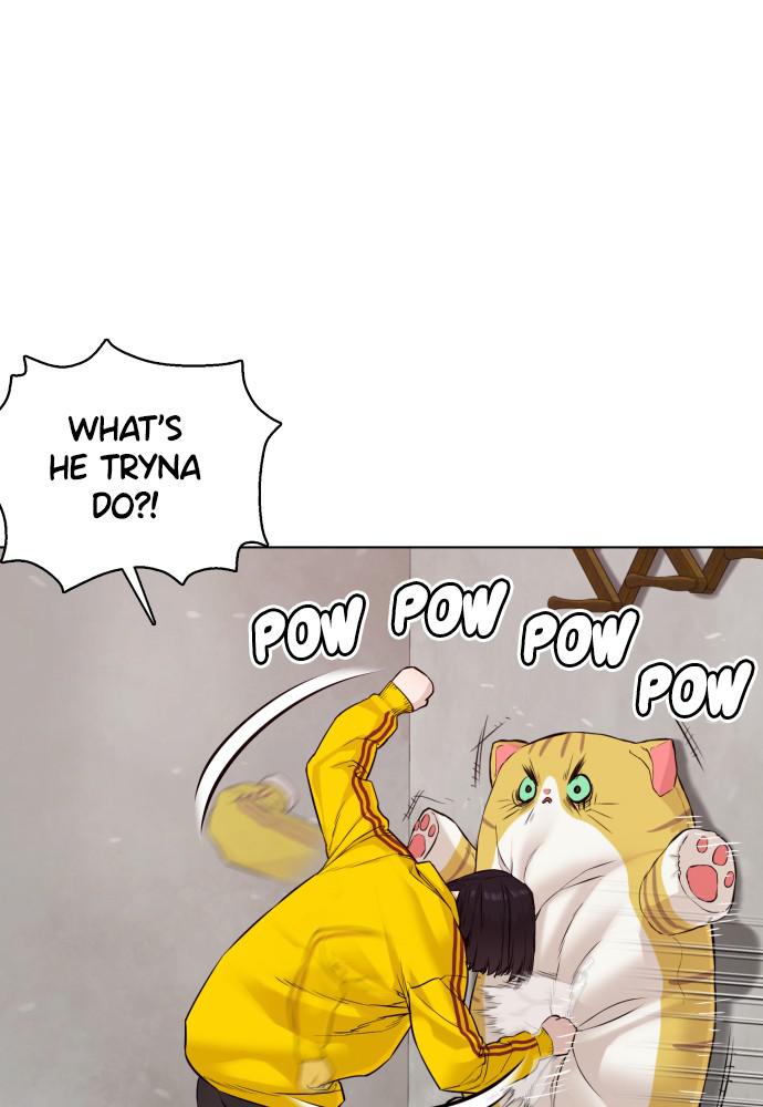 Read Viral Hit ENGLISH Manga Online