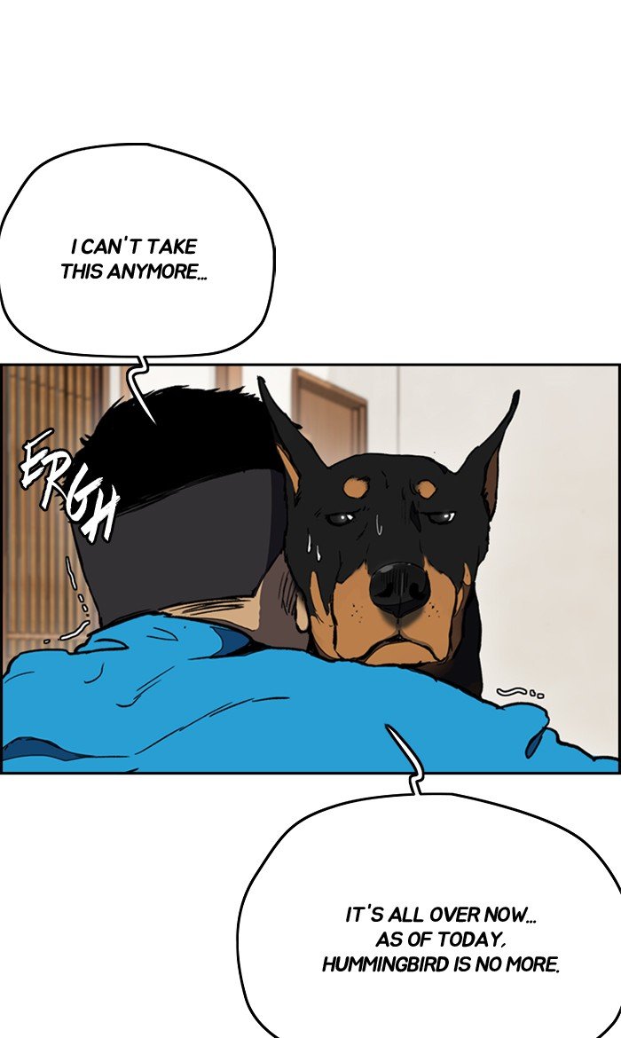 Read Wind Breaker Manhwa ENGLISH Manga Online