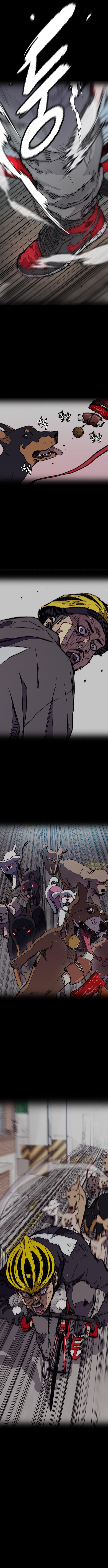 Read Wind Breaker Manhwa ENGLISH Manga Online