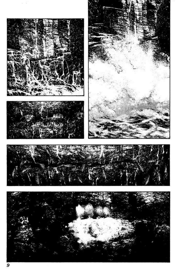 Read Ascension The Climber Español Manga Online