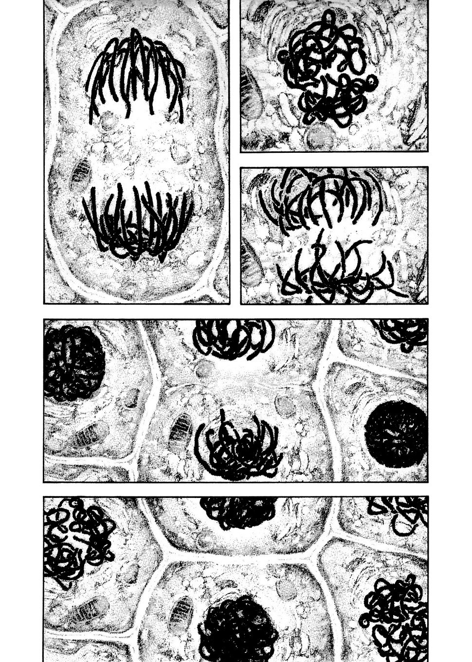 Read Ascension The Climber Español Manga Online