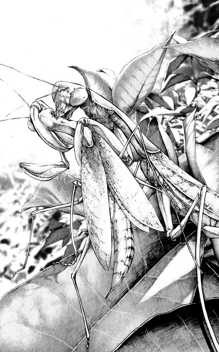 Read Ascension The Climber Español Manga Online