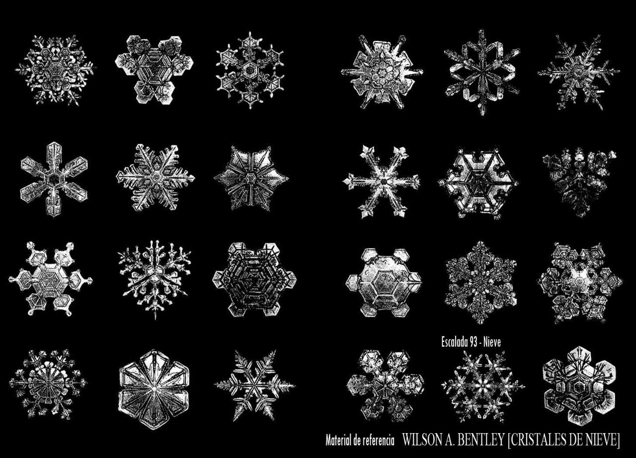 Read Ascension The Climber Español Manga Online