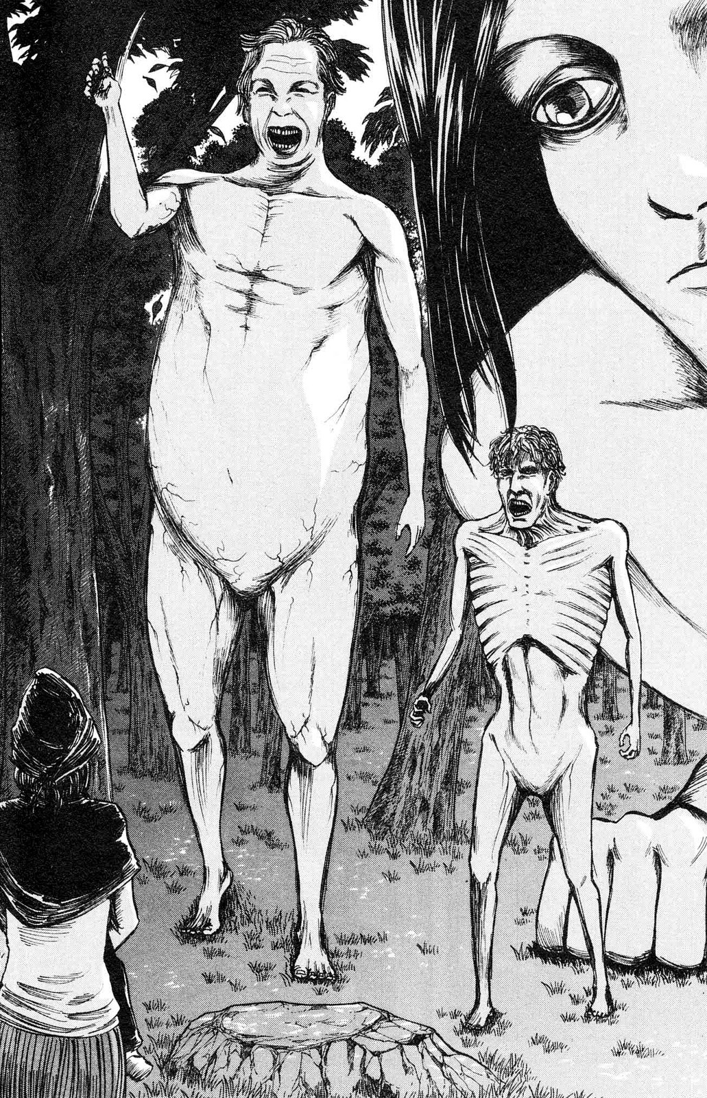 Read Attack on Titan Español Manga Online