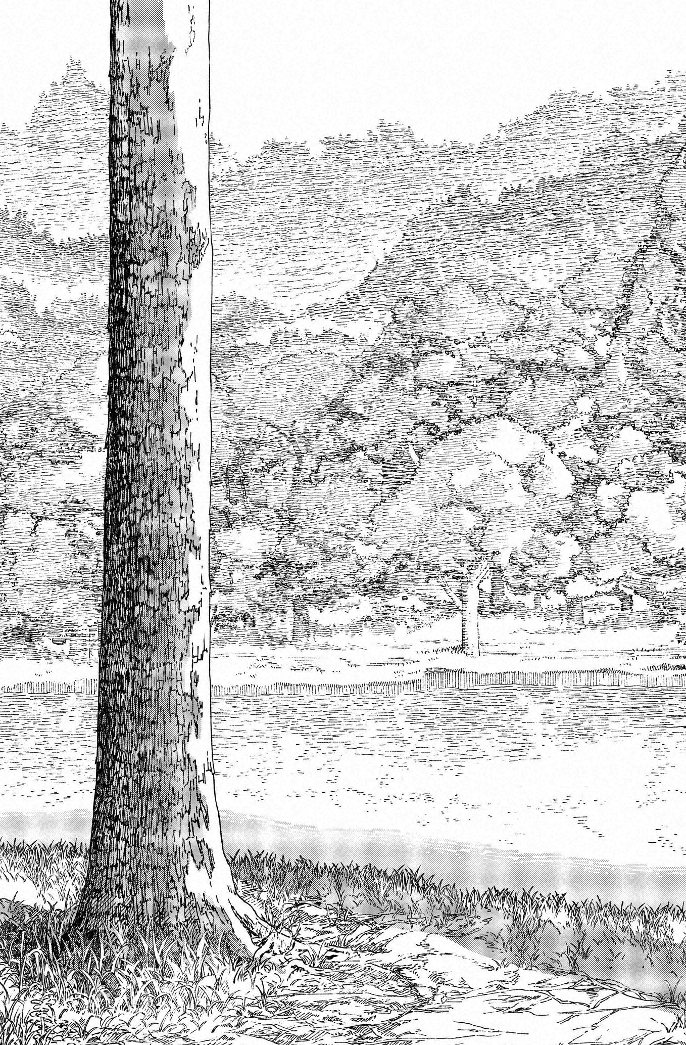 Read Chainsaw Man Español Manga Online