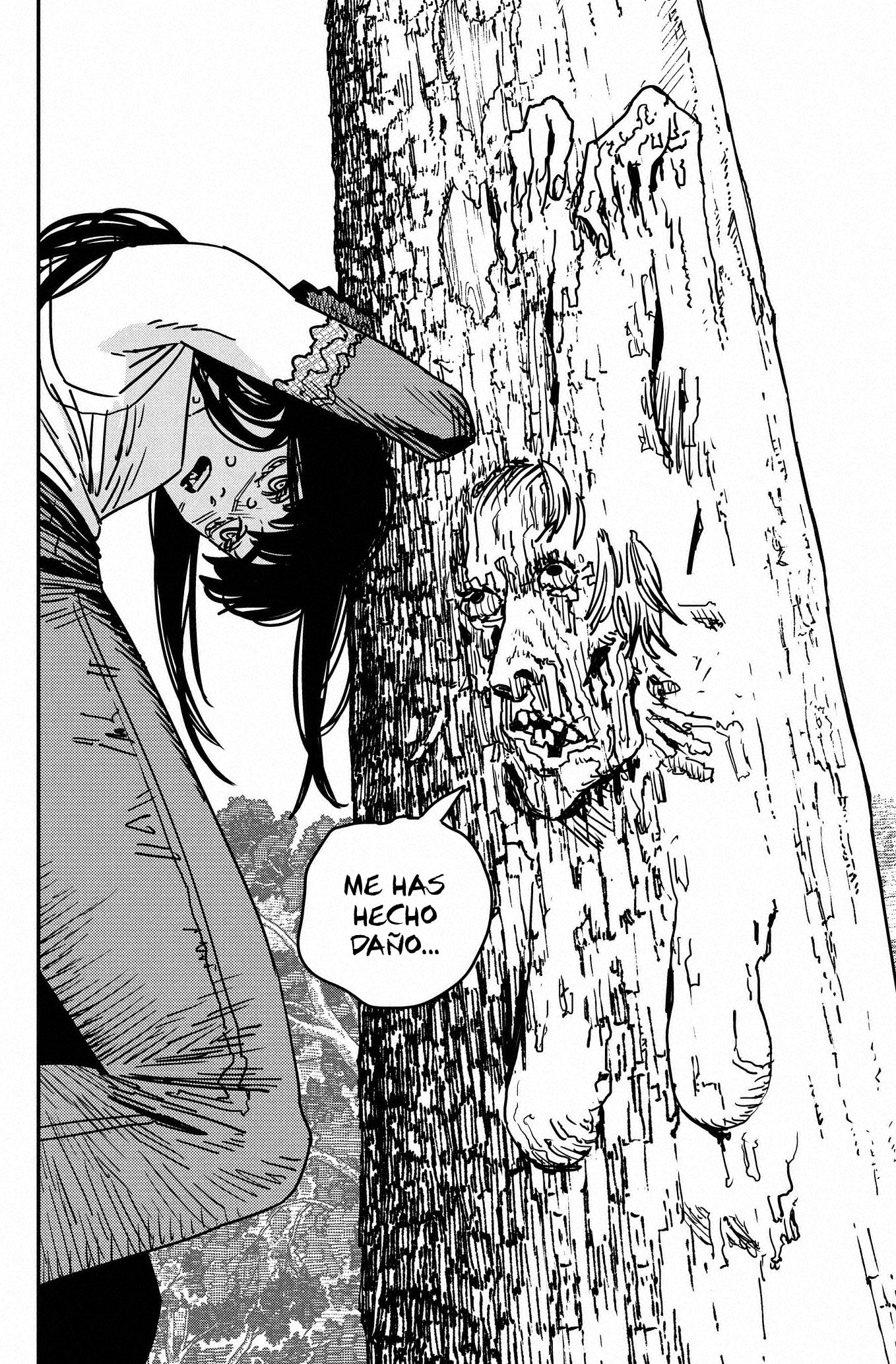Read Chainsaw Man Español Manga Online