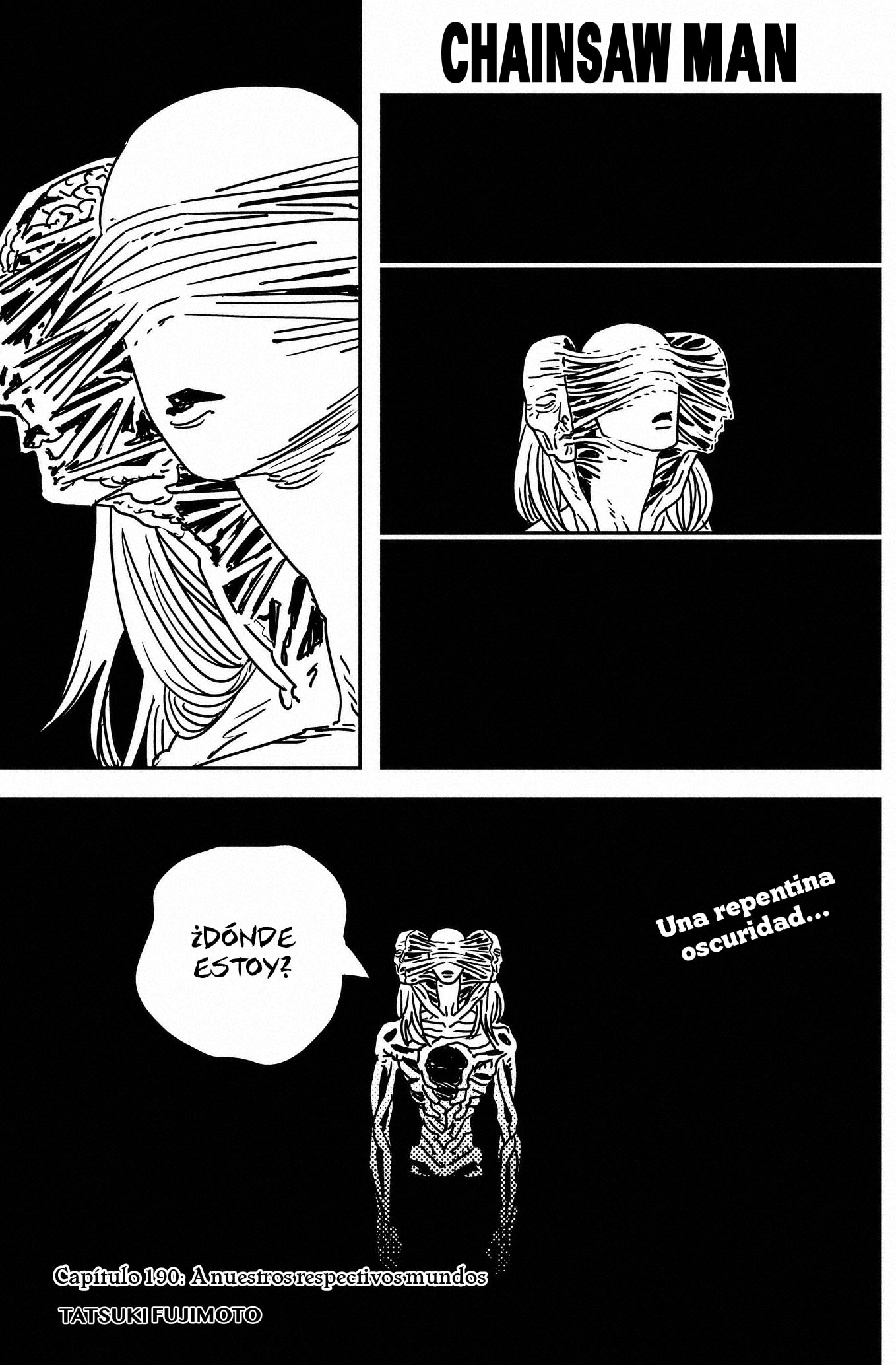 Read Chainsaw Man Español Manga Online