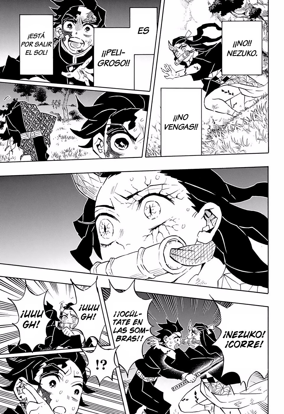 Read Demon Slayer_ Kimetsu no Yaiba Español Manga Online